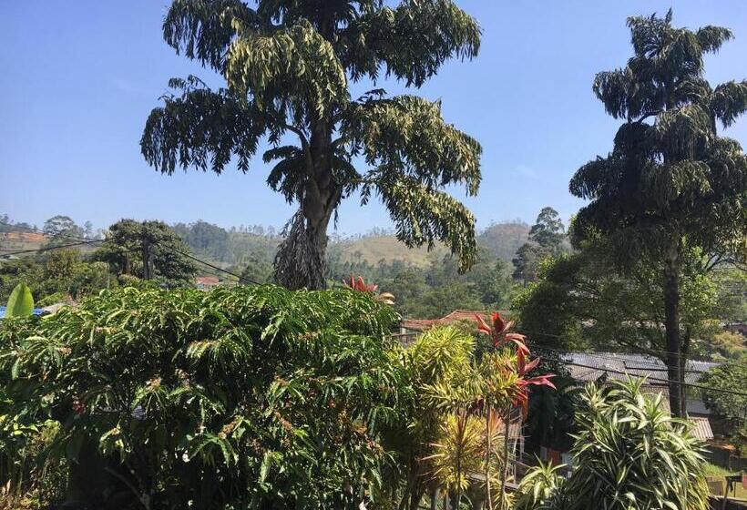 اتاق استاندارد, Duke S Nose Holiday Bungalow