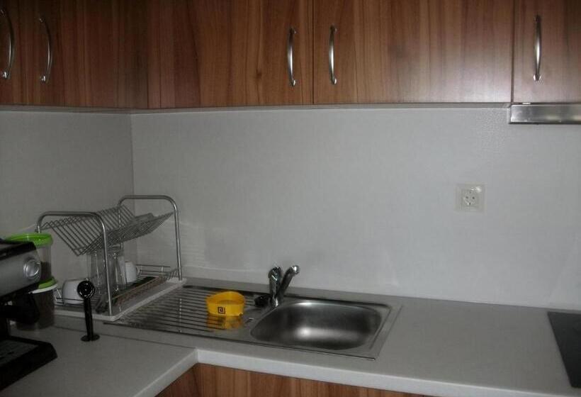 استودیو خانوادگی, Andreevite Houses