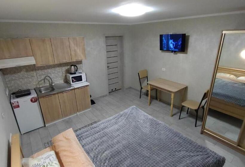 غرفة قياسية سرير كينج, Guesthouse U Dida Viktora