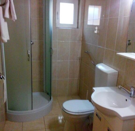 标准单人间, Pensiunea Vladut Timisoara