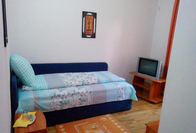 标准单人间, Pensiunea Vladut Timisoara