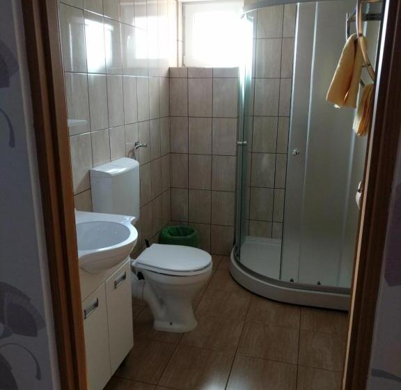 标准单人间, Pensiunea Vladut Timisoara