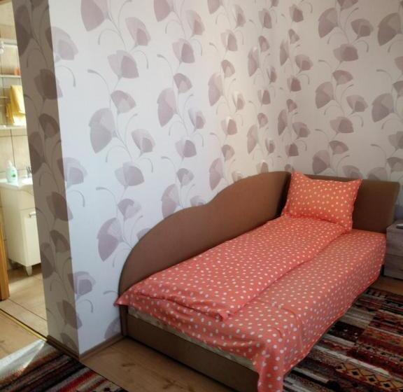 标准单人间, Pensiunea Vladut Timisoara