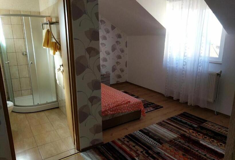 标准单人间, Pensiunea Vladut Timisoara