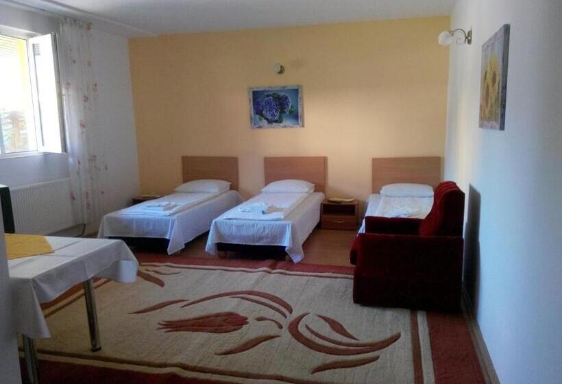 标准三人间, Pensiunea Vladut Timisoara