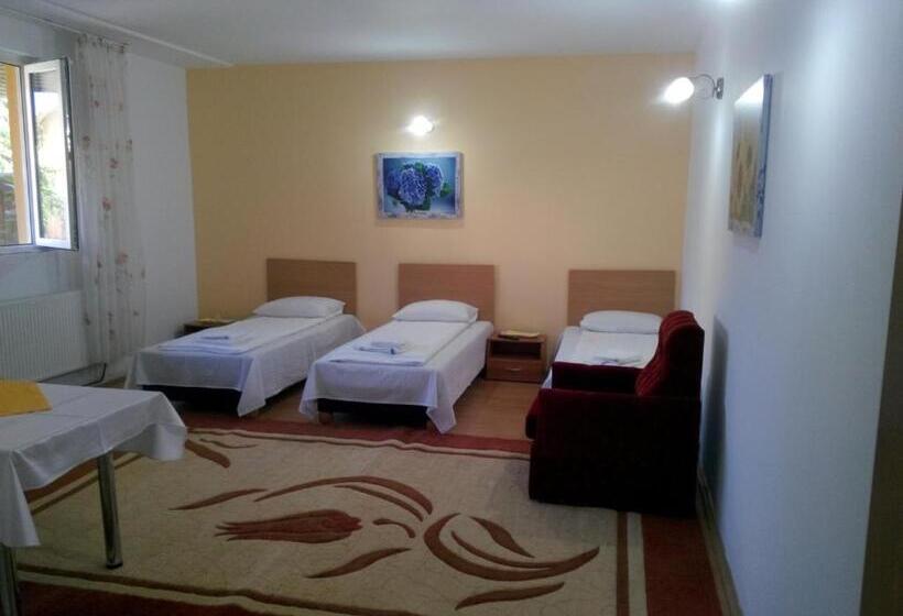 标准三人间, Pensiunea Vladut Timisoara