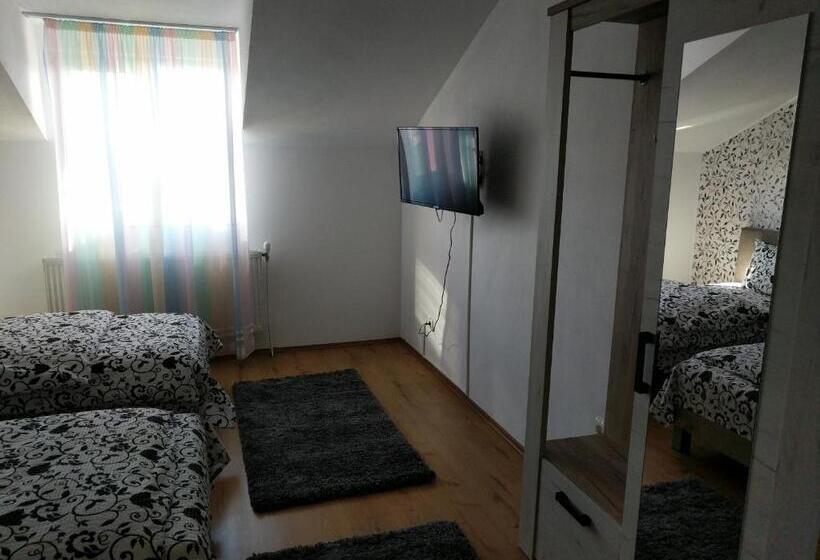 اتاق استاندارد سه نفره, Pensiunea Vladut Timisoara