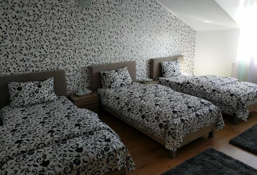 标准三人间, Pensiunea Vladut Timisoara