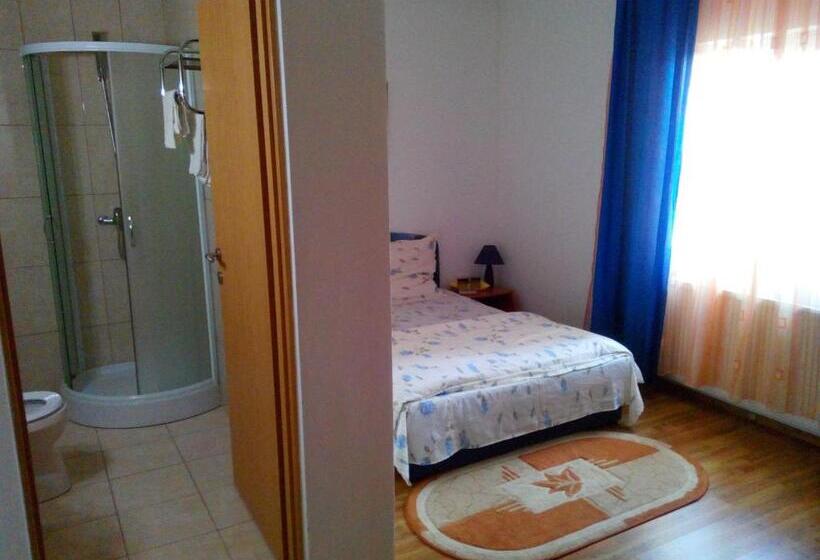 标准间, Pensiunea Vladut Timisoara