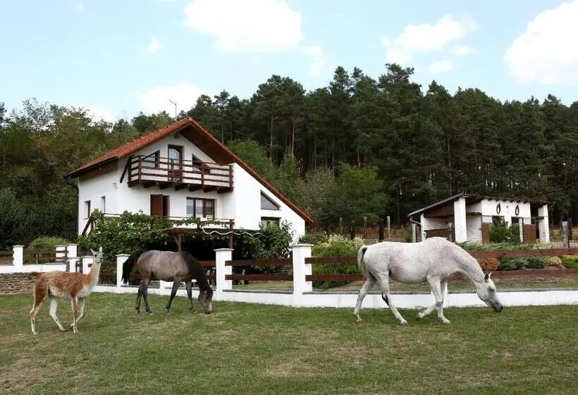１ベッドルームアパートメント, Na Samotě Ve Srubu
