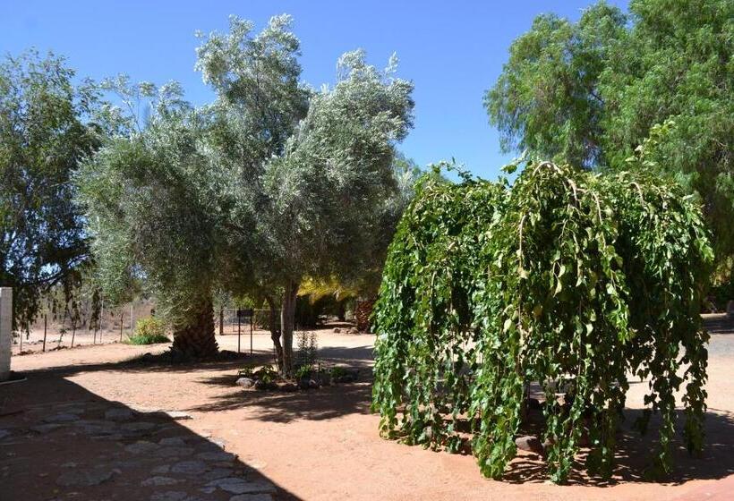 اتاق استاندارد چهار تخته, Savanna Guest Farm