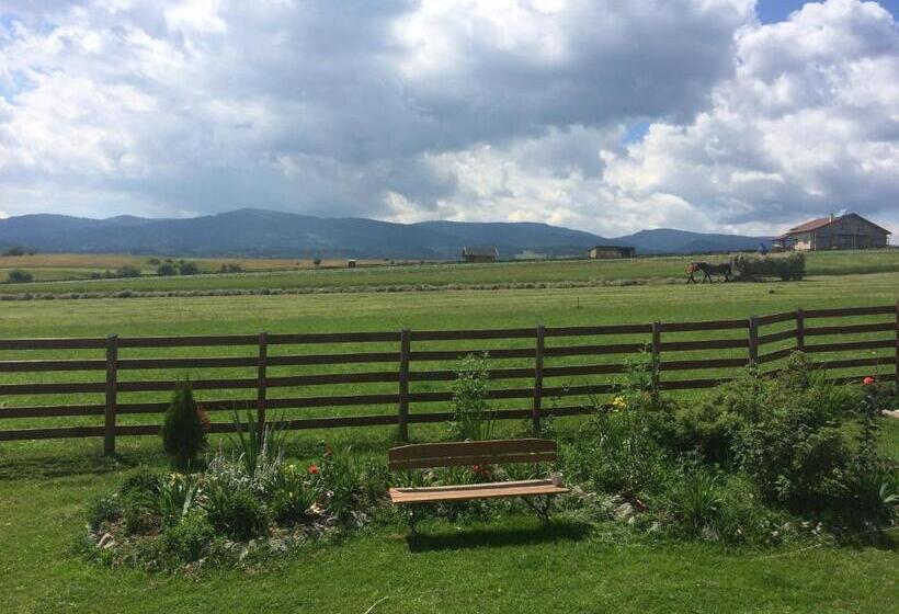 غرفة قياسية, Casa Genesini