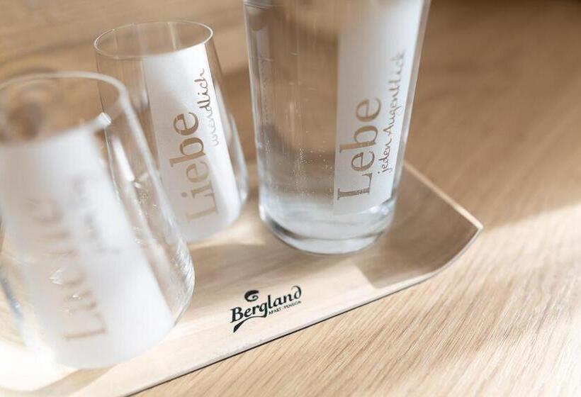 スタンダードルーム, Apart Pension Bergland