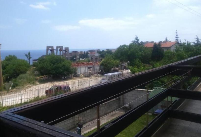 스탠다드 싱글 룸, Enjoy Guest House