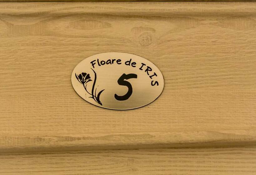 سوییت جونیور, Floare De Iris