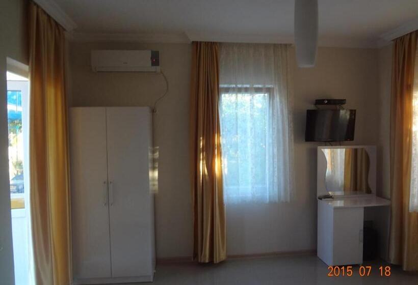 اتاق لوکس سه تخته, Twins