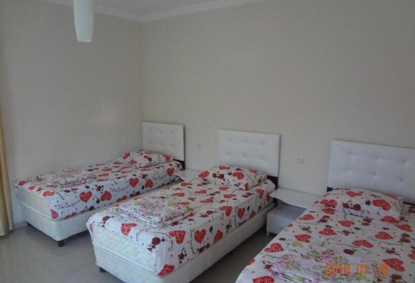 اتاق لوکس سه تخته, Twins