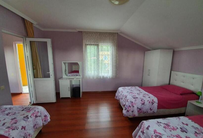 سوییت خانوادگی, Twins