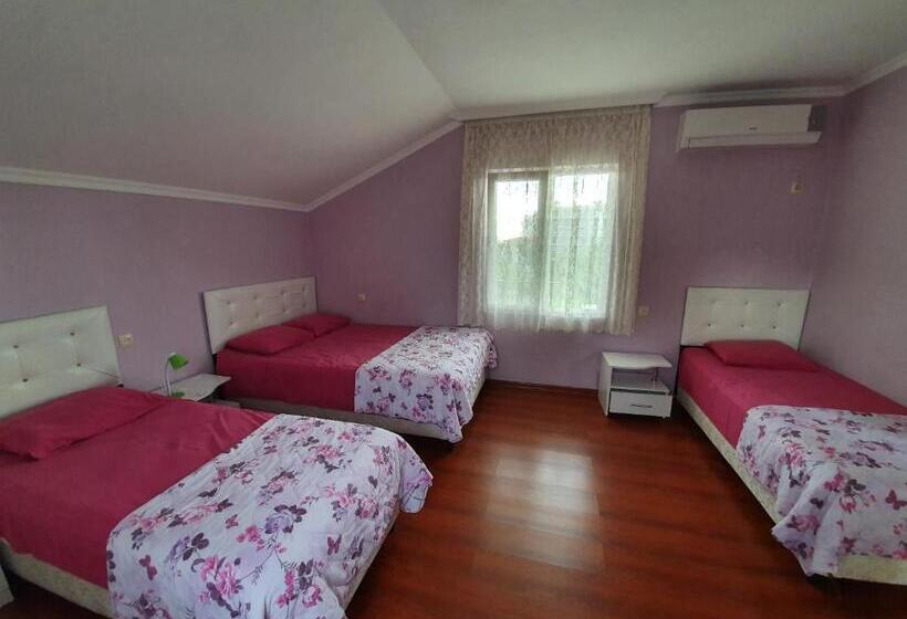 سوییت خانوادگی, Twins