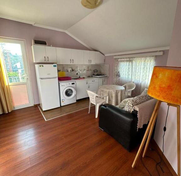 سوییت خانوادگی, Twins