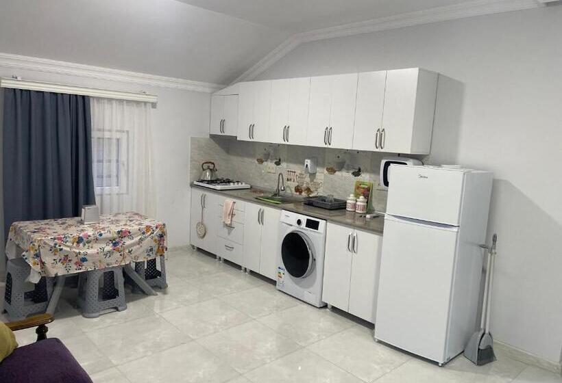 اتاق خانوادگی, Twins