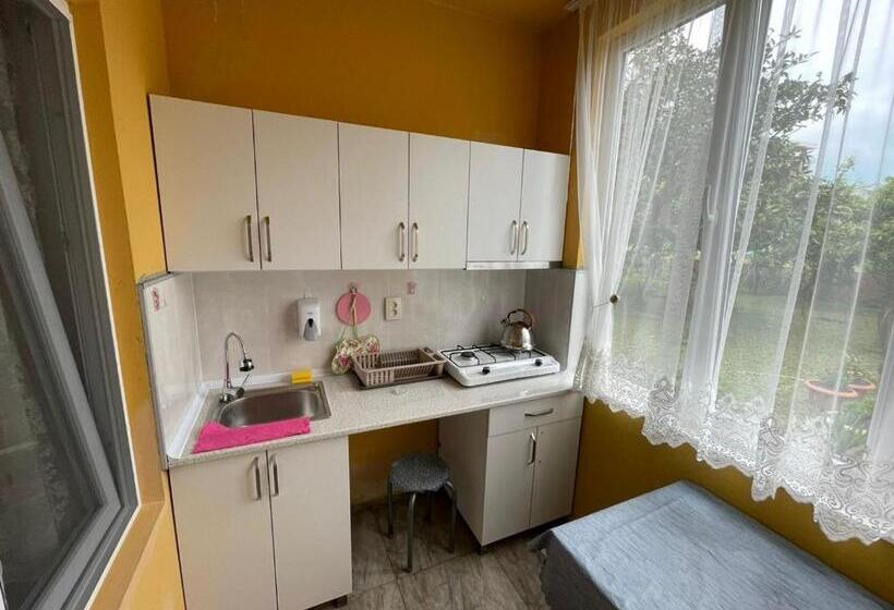 اتاق لوکس چهار تخته, Twins