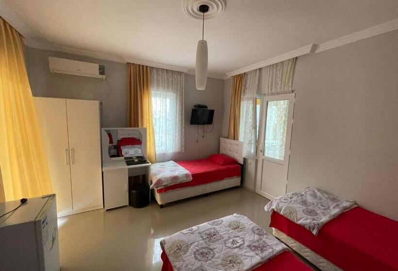 اتاق لوکس سه تخته, Twins