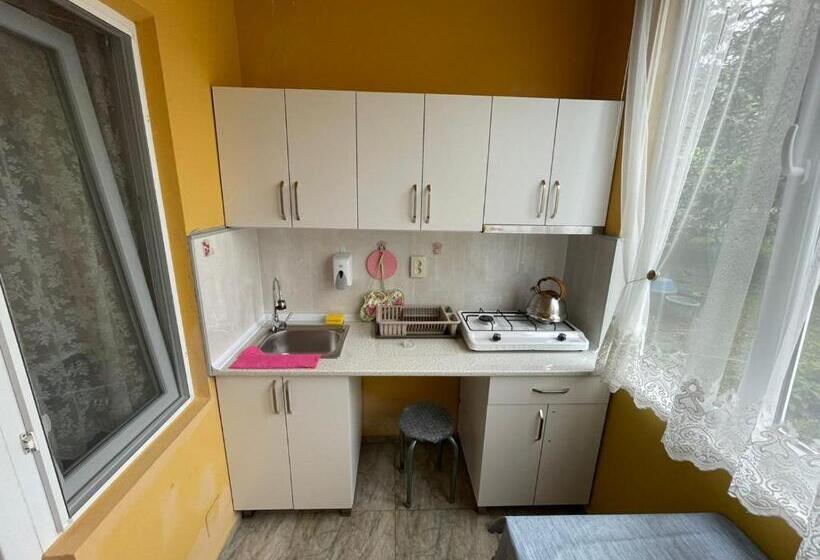 اتاق لوکس سه تخته, Twins