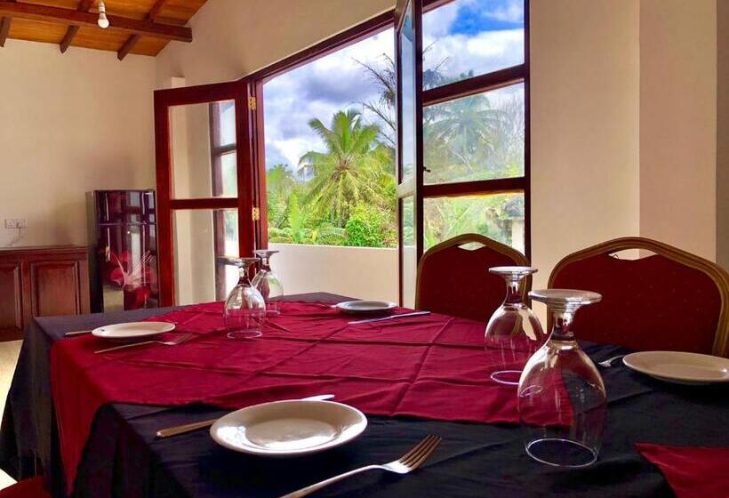 Apartamento 1 Dormitorio Vista Piscina, Sundowners Guesthouse