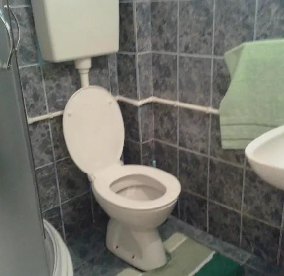 آپارتمان 1 خوابه همکف, Apartmani Sobe Sljivancanin