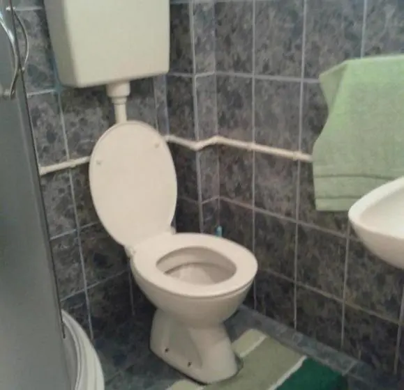 خانه 1 خوابه, Apartmani Sobe Sljivancanin