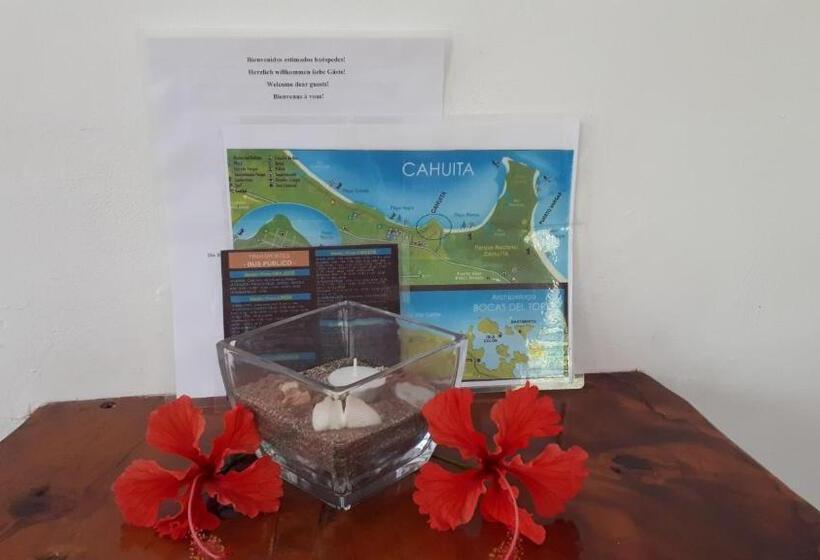 ２ベッドルームアパートメント, Babilonia