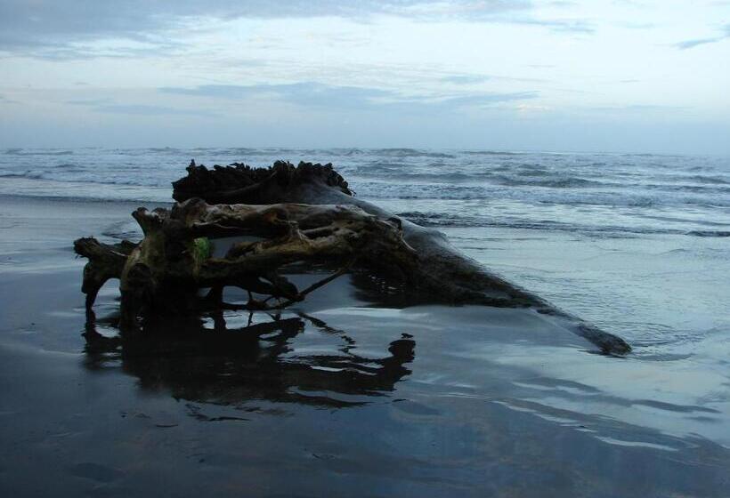 ２ベッドルームアパートメント, Babilonia