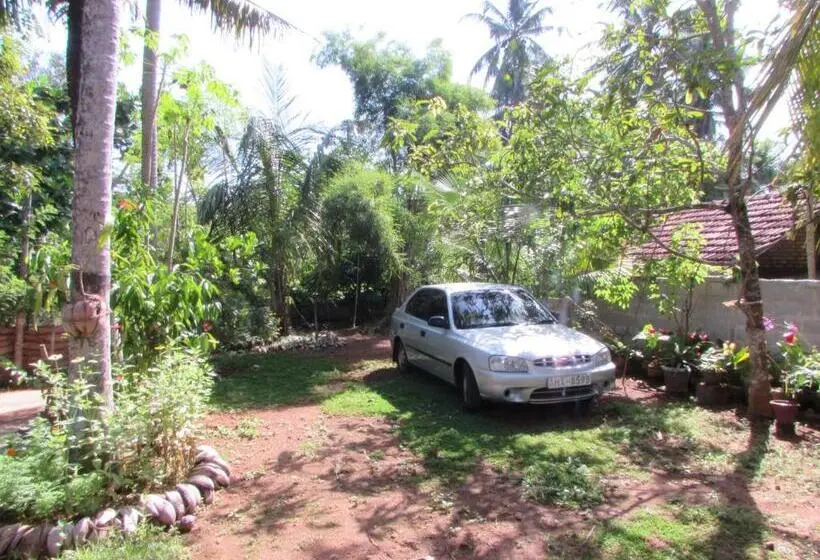 اتاق استاندارد, Rainbow Guest House