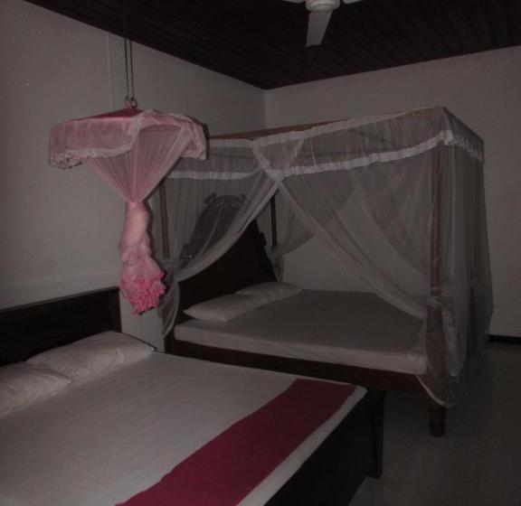 اتاق خانوادگی, Rainbow Guest House