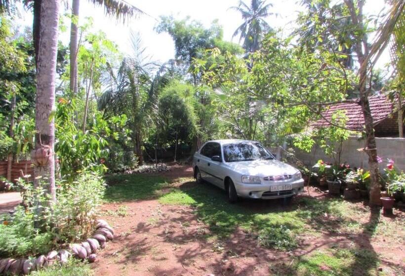 اتاق استاندارد سه نفره, Rainbow Guest House