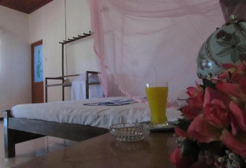 اتاق خانوادگی, Rainbow Guest House