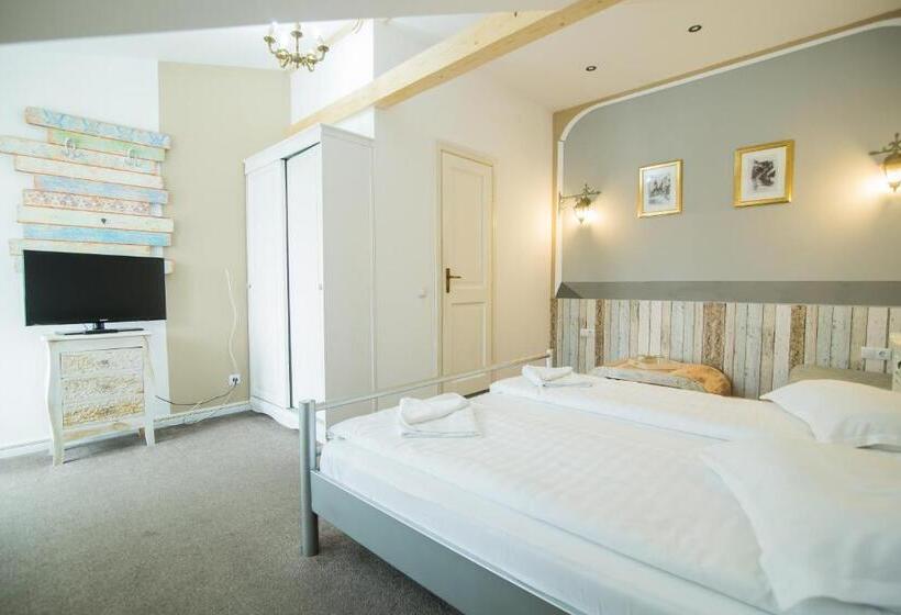 标准间, Vila Sibiu