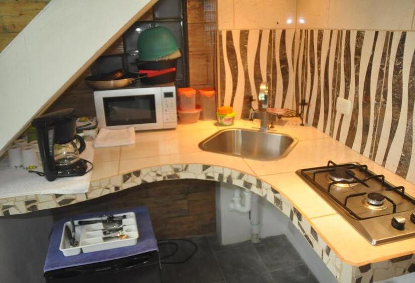 غرفة قياسية مطلة على الجبل, Casa Aba Matapalo