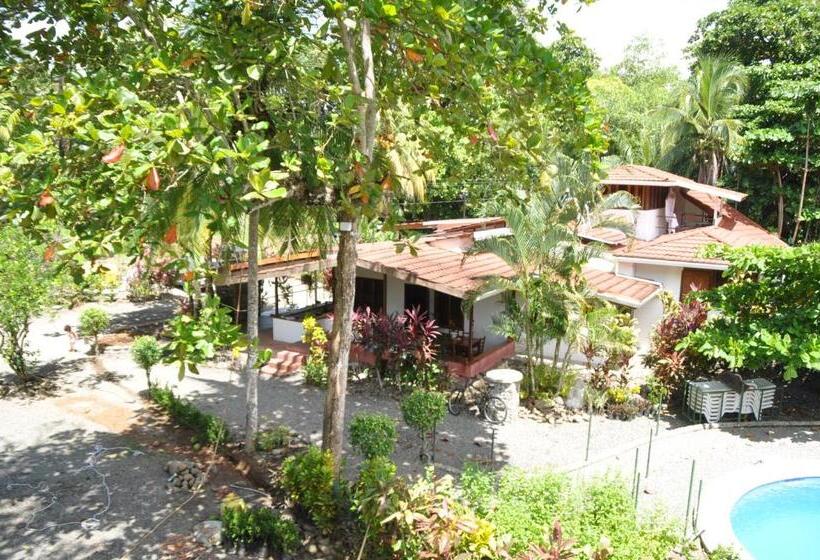 غرفة عائلية, Casa Aba Matapalo