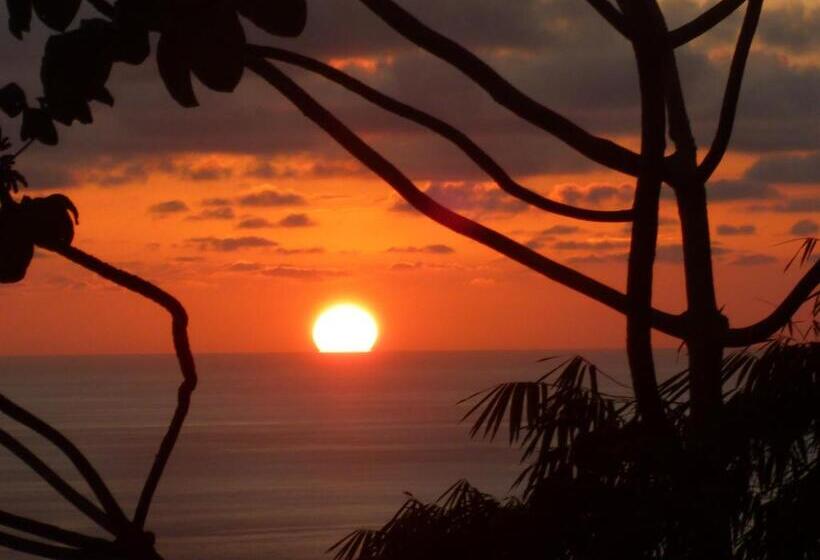 غرفة قياسية مطلّة علي الحديقة, Casa Aba Matapalo