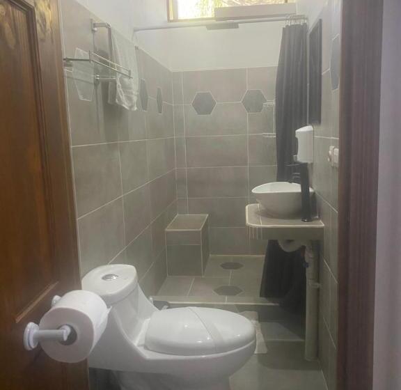 Номер Стандарт Вид на Сад, Casa Aba Matapalo