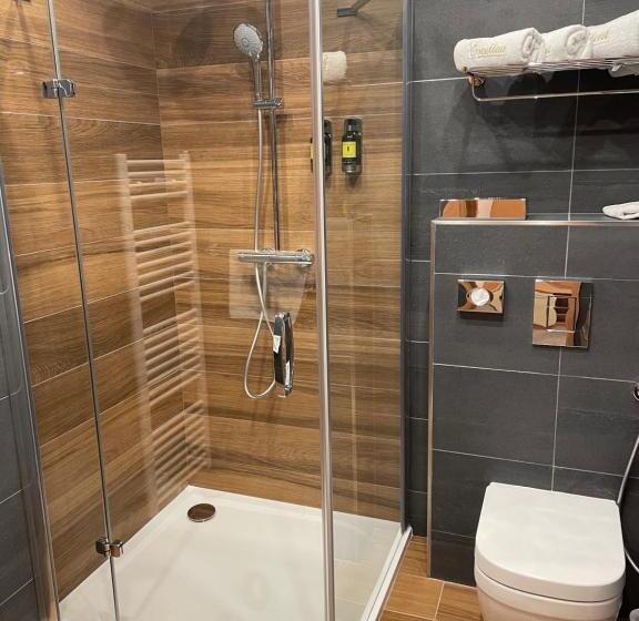 اتاق لوکس, Penzion Excellent