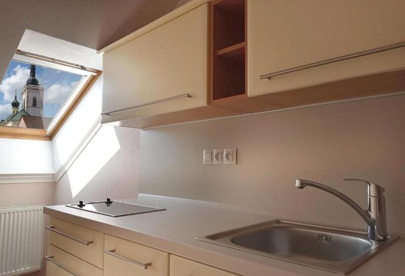 اتاق لوکس, Penzion Excellent