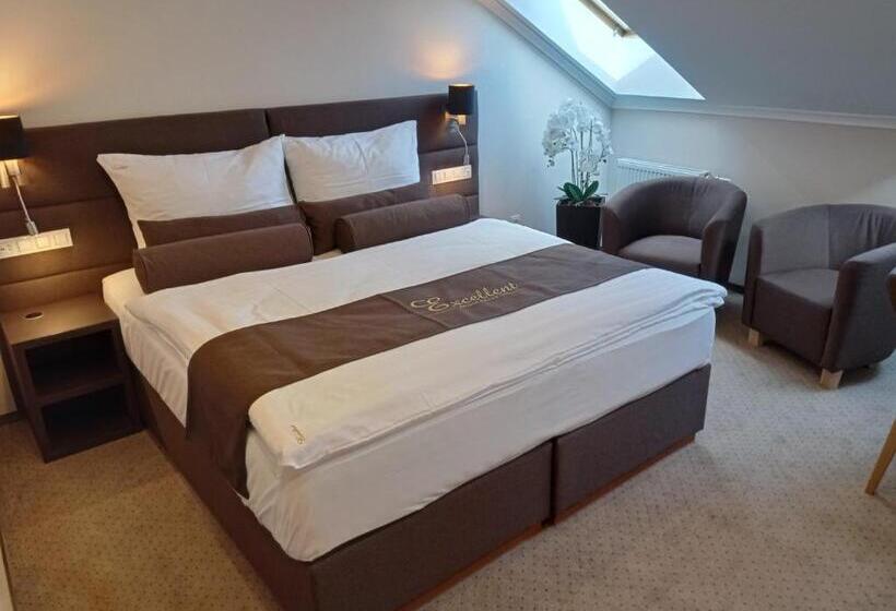 اتاق استاندارد, Penzion Excellent