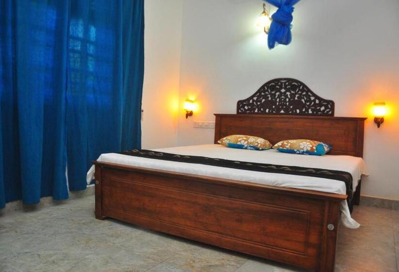 Номер Deluxe, Guest House Basilea