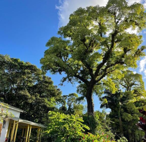 خانه 2 خوابه, Les Cycas