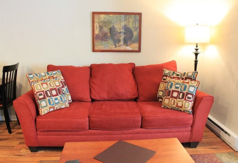 شقة سوبريور غرفة واحدة, Strictly Moose Luxury Vacation Suites