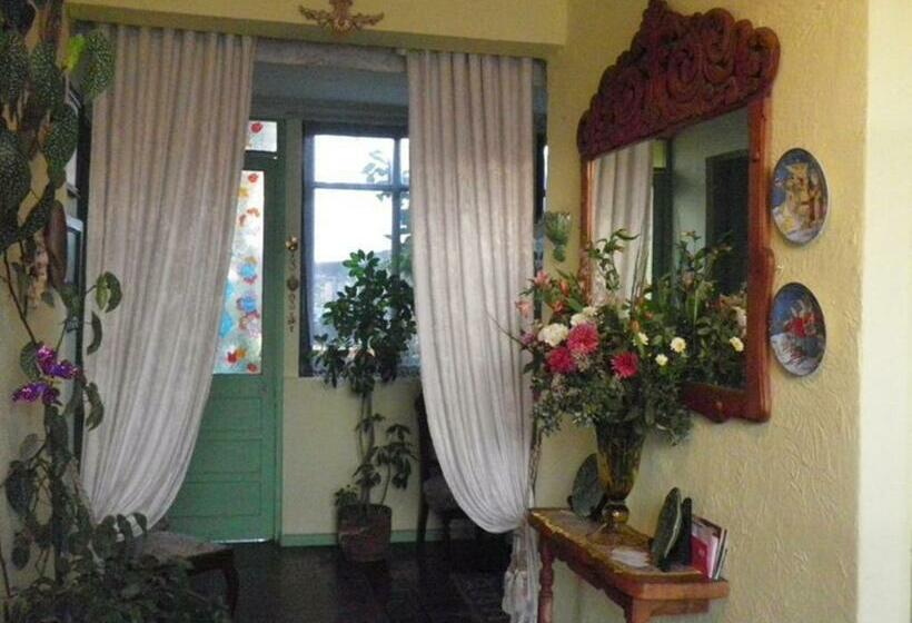 חדר סטנדרט יחיד, Hostal Renoir