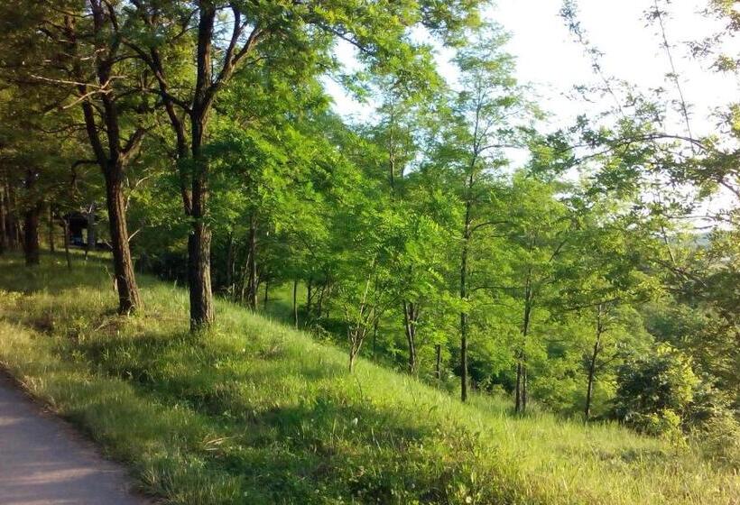 اتاق استاندارد با چشم‌انداز, Lodging Vidmar